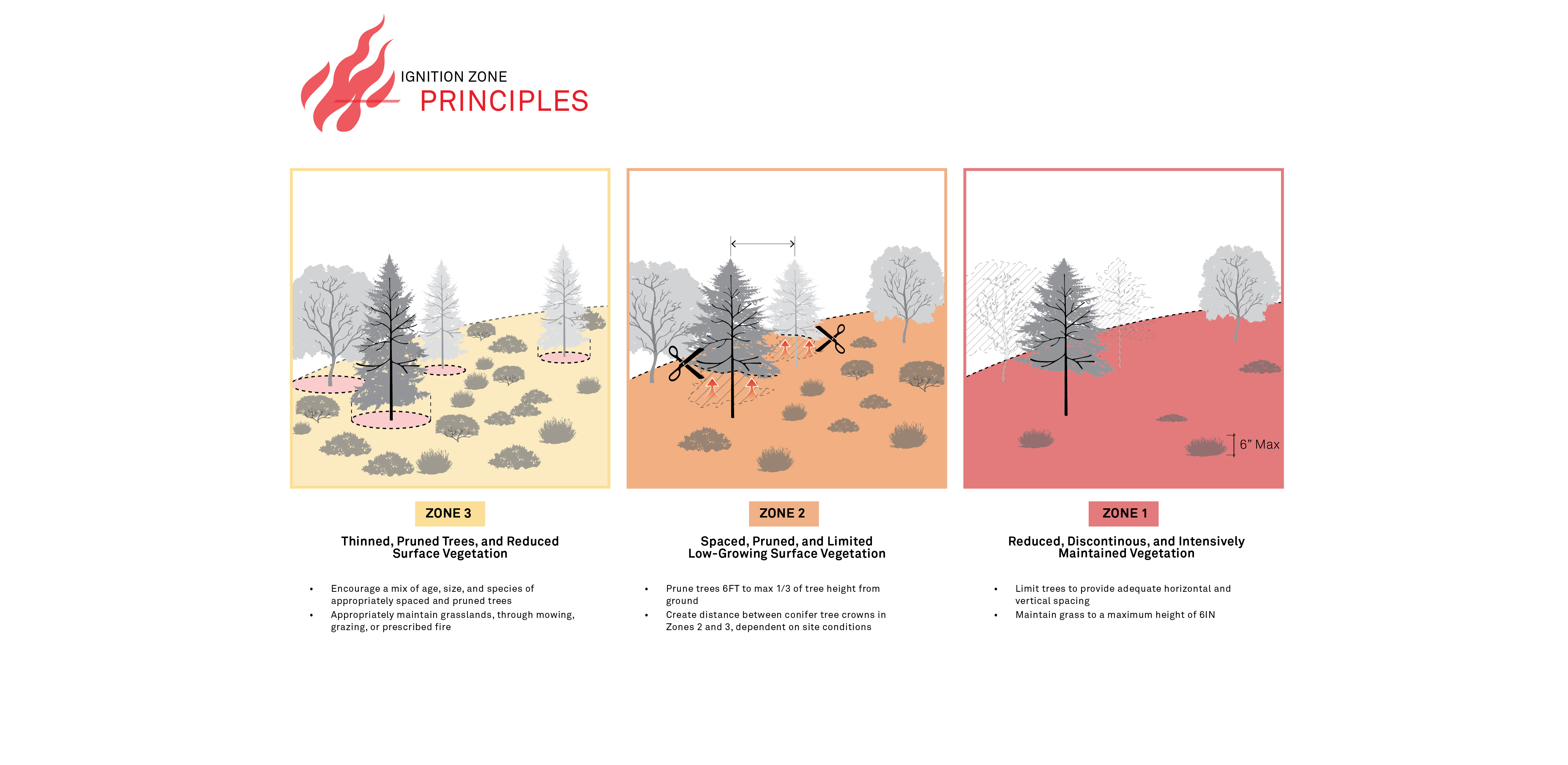 Ignition Zone Principles